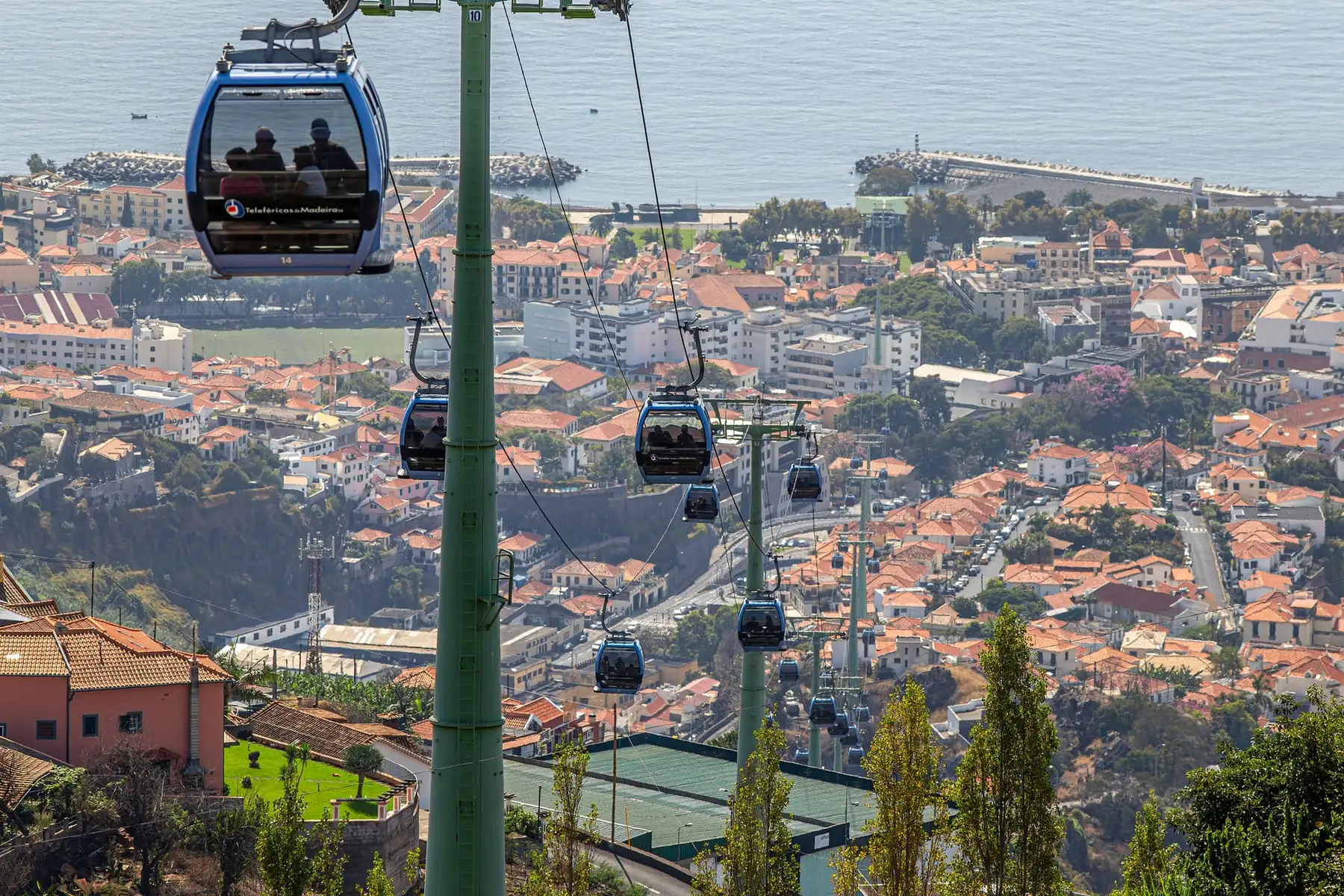 Terraced slopes above Funchal falling to the Atlantic
