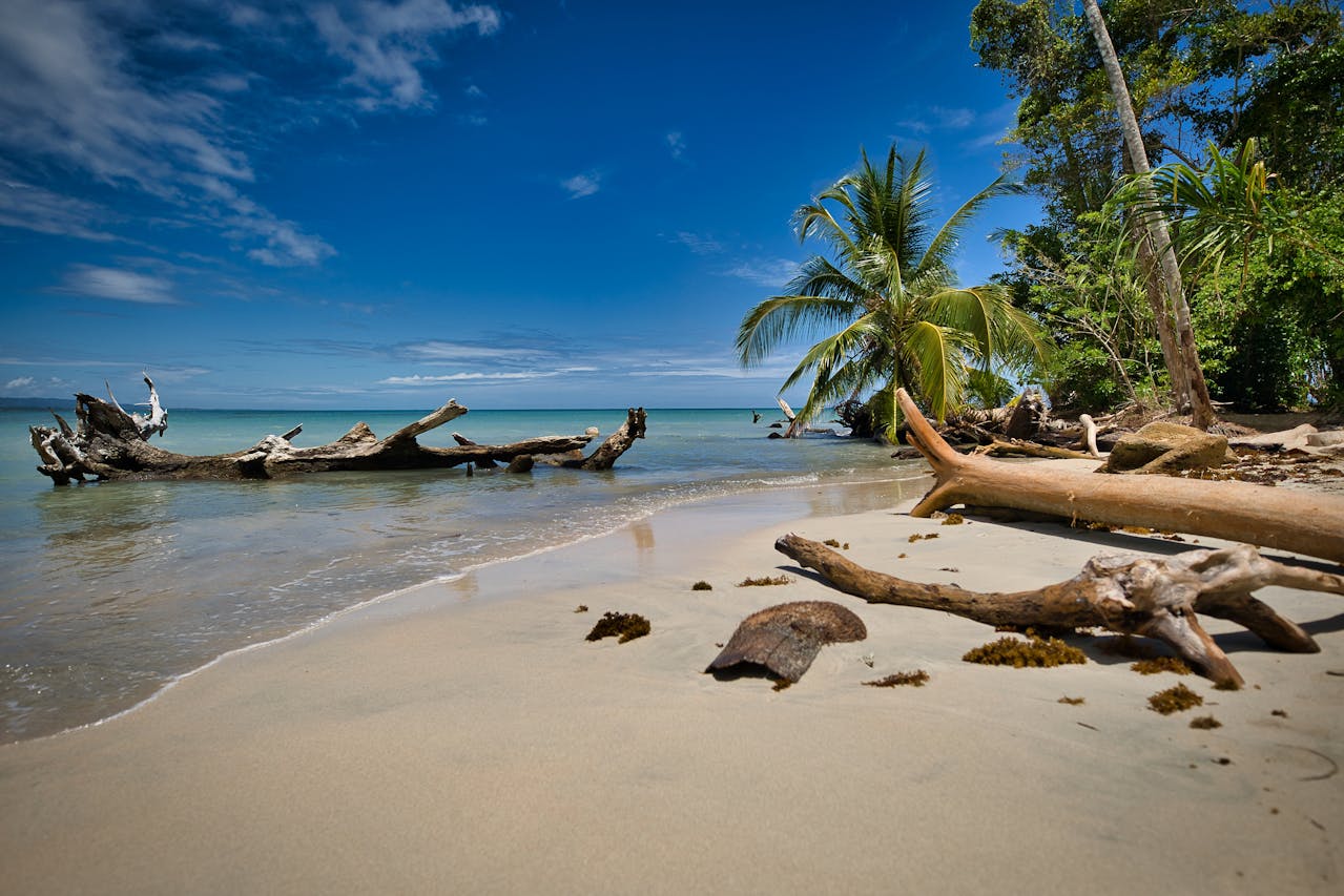 Limón, Costa Rica: Your Ultimate Caribbean Coast Travel Guide